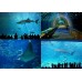 10 самых больших аквариумов в Мире!